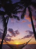 Hammock on Beach, Danarau, Viti Levu, Fiji Photographic Print by Neil Farrin