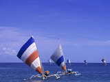 Traditional Sailing Boats, Lombok, Indonesia Photographic Print by Neil Farrin