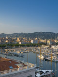 Cannes, Old Town Le Suquet, Vieux Port, Provence-Alpes-Cote D'Azur, France Photographie par Alan Copson