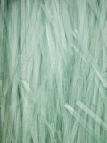 Cellophane Noodles, Market, Xizhou, Erhai Hu Lake Area, Yunnan Province, China Fotografisk tryk af Walter Bibikow Cellophane Noodles, Market, Xizhou, Erhai Hu Lake Area, Yunnan Province, China Fotografisk tryk af Walter Bibikow