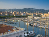 Cannes, Old Town Le Suquet, Vieux Port, Provence-Alpes-Cote D'Azur, France Photographic Print by Alan Copson