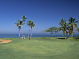 Denarau Golf Course, Danarau, Viti Levu, Fiji Photographic Print by Neil Farrin