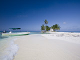 Beach, Silk Caye, Belize Photographic Print by Jane Sweeney