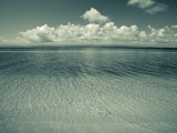 Colon Island Star Beach, Bocas Del Toro Province, Panama Photographic Print by Jane Sweeney