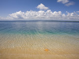 Colon Island Star Beach, Bocas Del Toro Province, Panama Photographic Print by Jane Sweeney