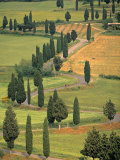Monticchiello, Tuscany, Italy Photographic Print by Walter Bibikow