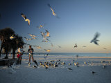 Clearwater Beach, Florida, USA Photographic Print by John Coletti