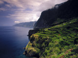 Terraced Vineyards, Seixal, Madeira, Portugal Photographic Print by Walter Bibikow