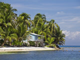 Ranguana Caye, Belize Photographic Print by Jane Sweeney