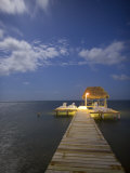 Caye Caulker, Belize Photographic Print by Russell Young