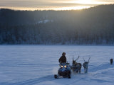 Winter Landscape, Reindeer and Snowmobile, Jokkmokk, Sweden Fotografie-Druck von Peter Adams