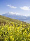 Mount Ararat, Dogubayazit, Eastern Turkey, Turkey Photographic Print by Jane Sweeney