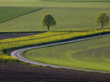 Spring Landscape by the Hochfels, Sure River Valley, Luxembourg Photographic Print by Walter Bibikow