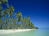 Plantation Island, Fiji Photographic Print by Steve Vidler
