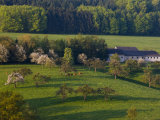 Countryside, Ettelbruck, Sure River Valley, Luxembourg Photographic Print by Walter Bibikow
