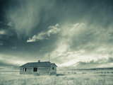 Lone Building, Cardston, Alberta, Canada Photographic Print by Walter Bibikow