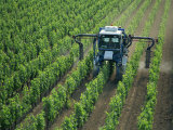 Vine Spraying, St.Emilion, Bordeaux Region, Aquitaine, France Photographic Print by Steve Vidler