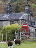 Herdwick Sheep and Cottage, Borrowdale, Lake District, Cumbria, England Lámina fotográfica por Doug Pearson Herdwick Sheep and Cottage, Borrowdale, Lake District, Cumbria, England Lámina fotográfica por Doug Pearson