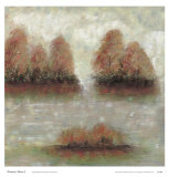Tamarac Shores I Poster by Jack Roth
