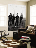 Mana Wall Mural