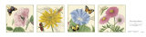 Four Summer Flowers Affiche par Louis Van Houtte