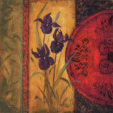 Iris Fusion I Prints by Linda Wacaster