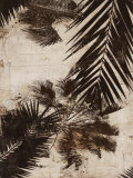 Palmeras I Pósters por J.b. Hall Palmeras I Pósters por J.b. Hall
