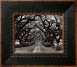 Path in the Oaks II, Louisiana Prints by Monte Nagler Path in the Oaks II, Louisiana Prints by Monte Nagler
