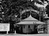 Lily Dale Assembly, a Spiritualist Community Lámina fotográfica por Rex Hardy Jr.