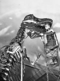 Man Working on Skeleton of a Tyrannosaurus at the American Museum of Natural History Lámina fotográfica por Hansel Mieth Man Working on Skeleton of a Tyrannosaurus at the American Museum of Natural History Lámina fotográfica por Hansel Mieth