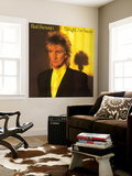 Rod Stewart- Tonight I'm Yours Mural