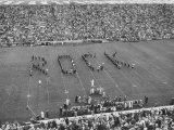 Navy vs. Notre Dame Football Game Half Time Tribute to its Legendary Coach, the Late Knute Rockne Fotoprint van Frank Scherschel Navy vs. Notre Dame Football Game Half Time Tribute to its Legendary Coach, the Late Knute Rockne Fotoprint van Frank Scherschel