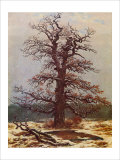 Oak in the Snow Giclee Print by Caspar David Friedrich Oak in the Snow Giclee Print by Caspar David Friedrich