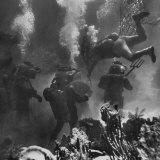 Propman Helping Seaweed Harvest During Underwater Filming of Disney's 20,000 Leagues Under the Sea Valokuvavedos tekijänä Peter Stackpole Propman Helping Seaweed Harvest During Underwater Filming of Disney's 20,000 Leagues Under the Sea Valokuvavedos tekijänä Peter Stackpole