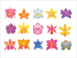 Flower Blossom with Smile Giclee Print by Miyuki Hasekura