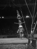 Circus Stacked Up Trio Casually Bicycling around the Board Lámina fotográfica por Ralph Morse Circus Stacked Up Trio Casually Bicycling around the Board Lámina fotográfica por Ralph Morse