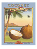 Noix de coco reproduction procédé giclée par Kerne Erickson