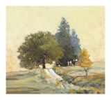 Argent Limited Edition by Kent Lovelace