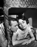 Love in the Afternoon 写真
