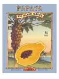 Papaya Giclee Print by Kerne Erickson