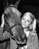 Sheila Fearn Prints by AllPoste...