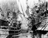 The Sea Hawk Photo