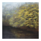 Misty River Limited Edition by Robert Striffolino