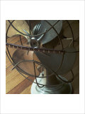 American Antiques: Fan Giclee Print by Nicolas Hugo