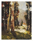 Italian Villa Limited Edition by Ted Goerschner