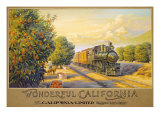 Wonderful Califonia Giclee Print by Kerne Erickson