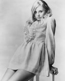 Linda Hayden Photo