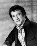 Earl Holliman Photo