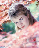 Jean Seberg Photo