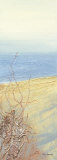 Coastal Grasses II Prints by Alex Murray Coastal Grasses II Prints by Alex Murray